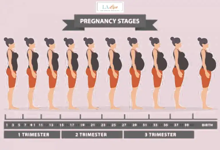 First Trimester (Weeks 1–12): Early Changes You Might Not Notice Weymouth